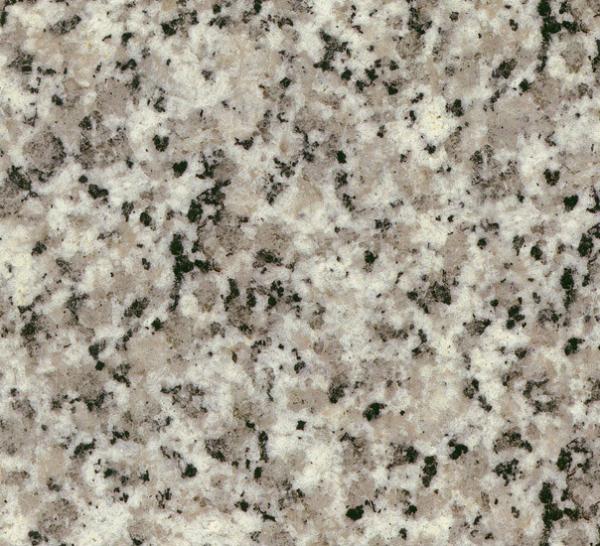 �����L����|